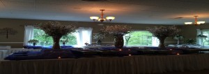 IMG_0499 a